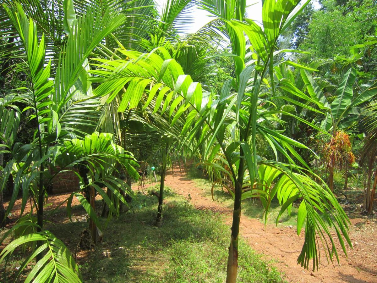 Willa Namaste Yoga Farm Gokarna  Zewnętrze zdjęcie