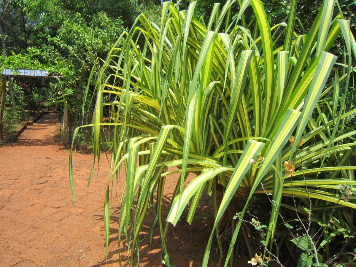 Willa Namaste Yoga Farm Gokarna  Zewnętrze zdjęcie