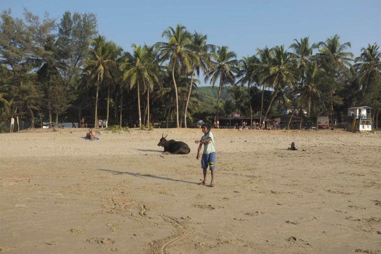 Willa Namaste Yoga Farm Gokarna  Zewnętrze zdjęcie